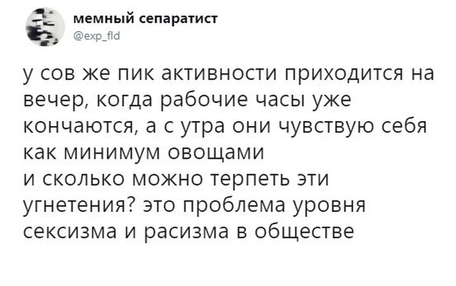 Про жаворонков и сов