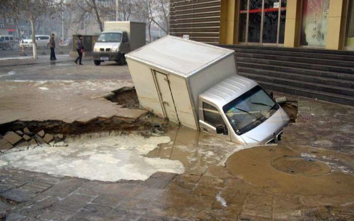 Прикольные картинки