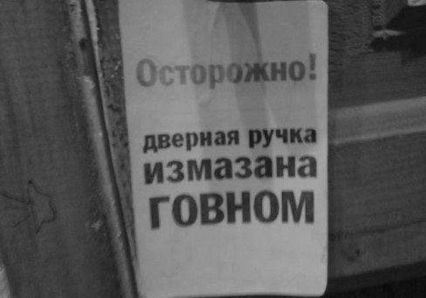 Прикольные картинки
