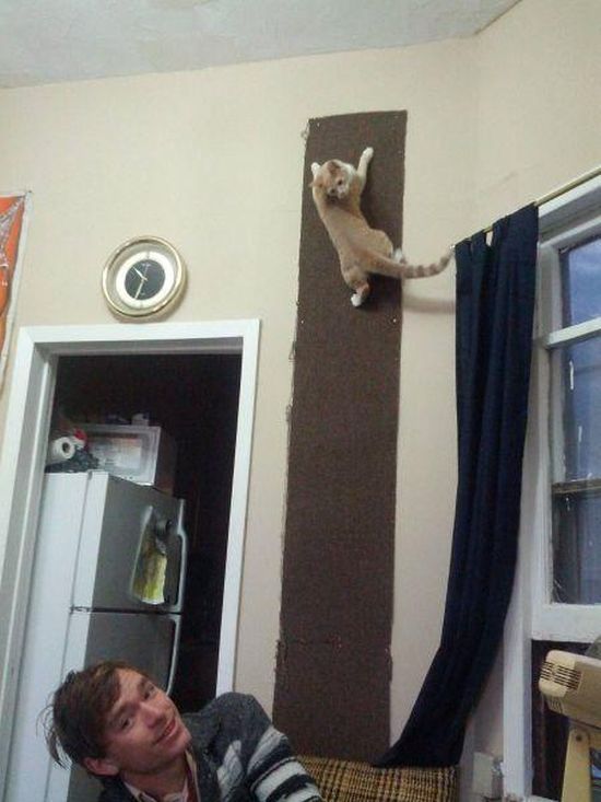 Прикольные картинки (63 фото)