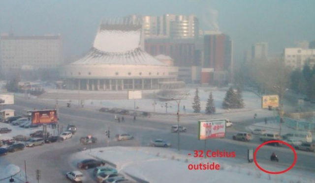 Забавные зимние фотографии
