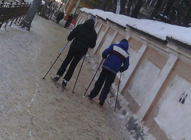 Забавные зимние фотографии
