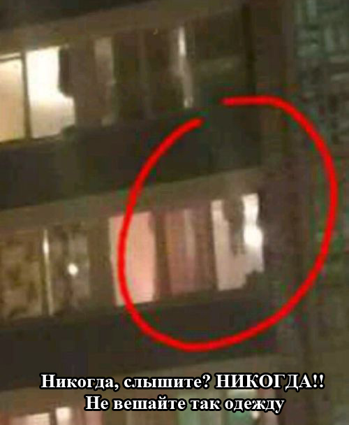 Порция картинок