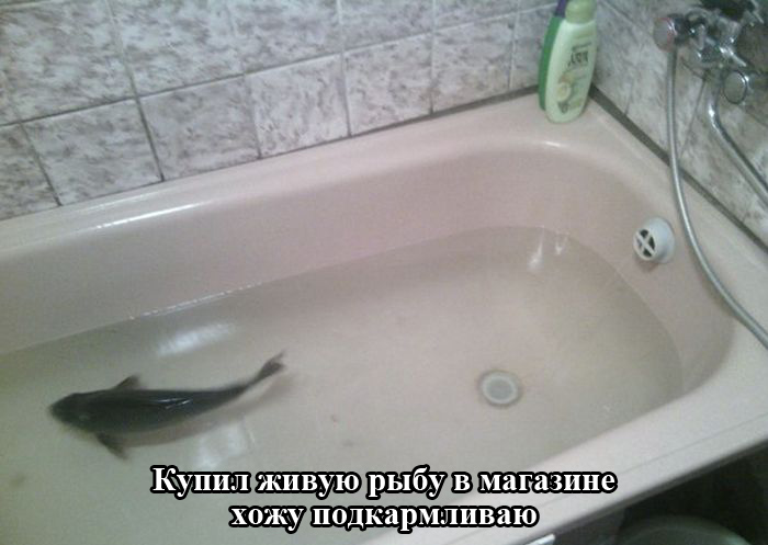 Порция картинок