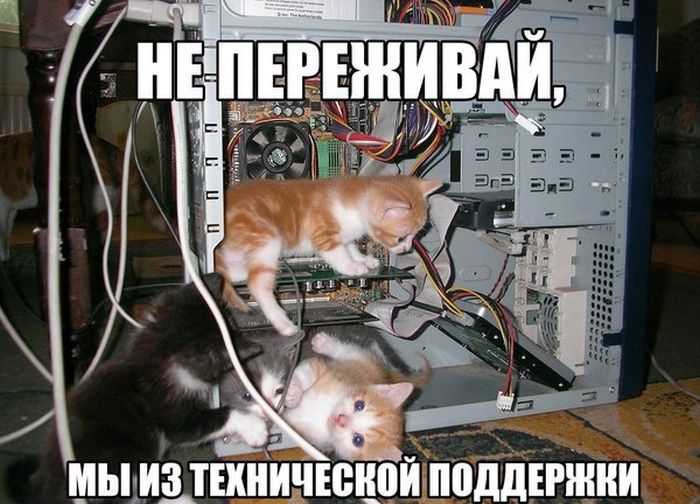 Порция картинок