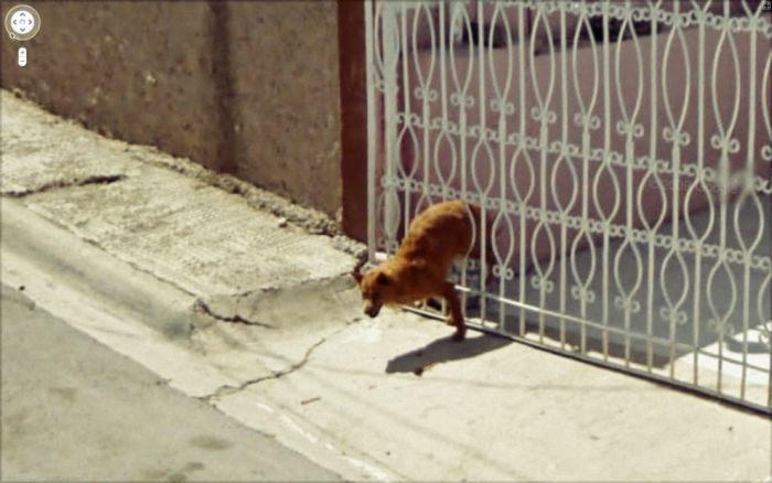 Странные фотографии с Google Street. Часть 2