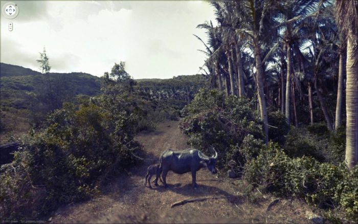 Странные фотографии с Google Street. Часть 2