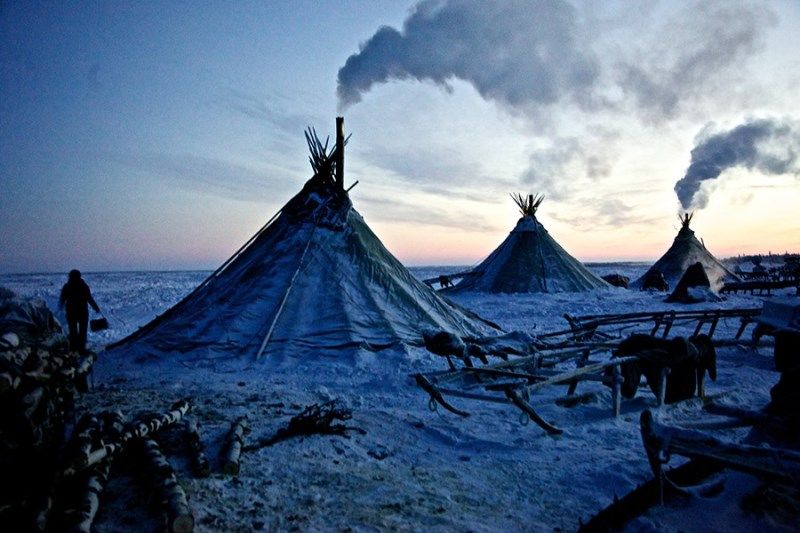 Жители Полярного Круга (23 фото) Жители Полярного Круга (23 фото)