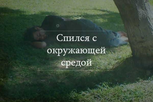 Прикольные картинки (79 фото)