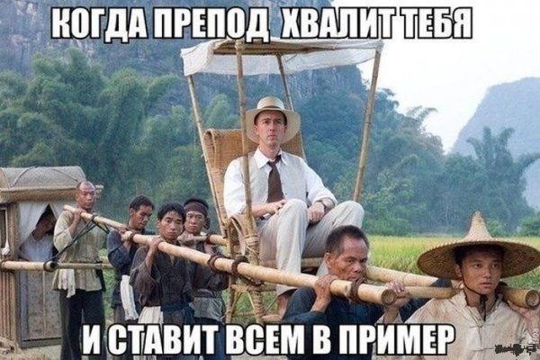 Прикольные картинки (79 фото)