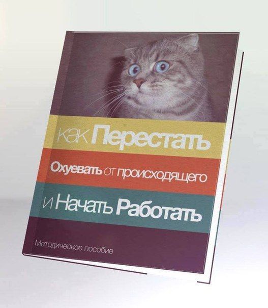 Прикольные картинки (79 фото)