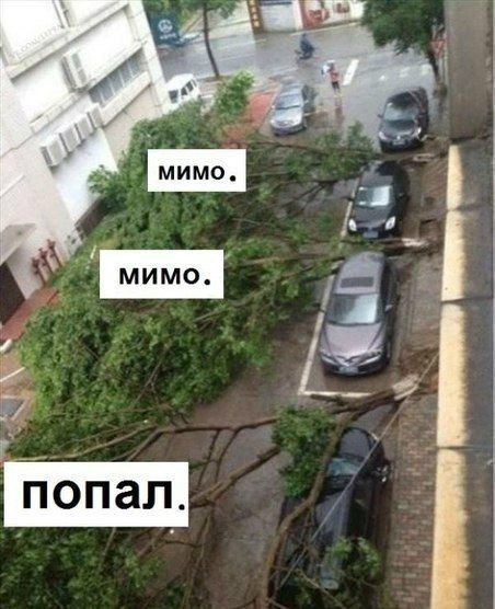 Прикольные картинки (82 фото)