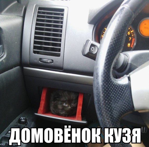 Прикольные картинки (82 фото)