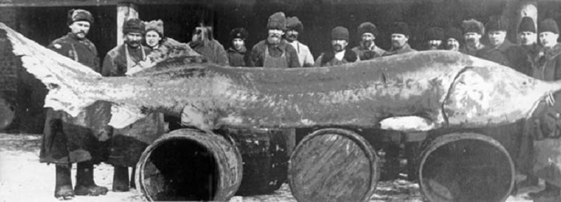 Любопытные факты о Каспийском море Любопытные факты о Каспийском море