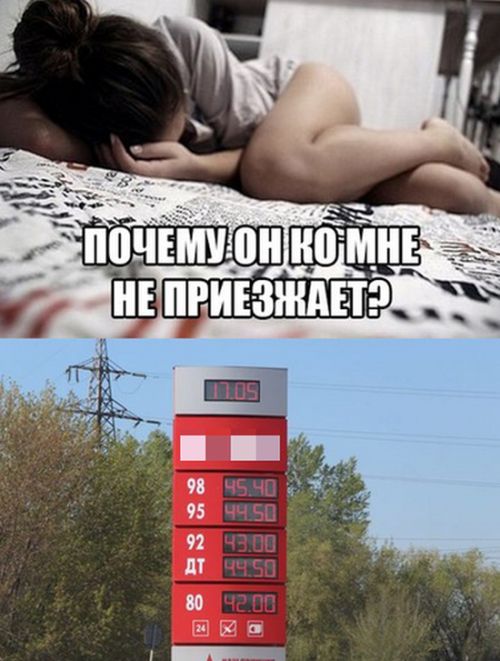 Прикольные картинки