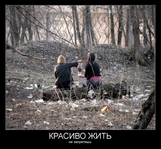 Демотиваторы