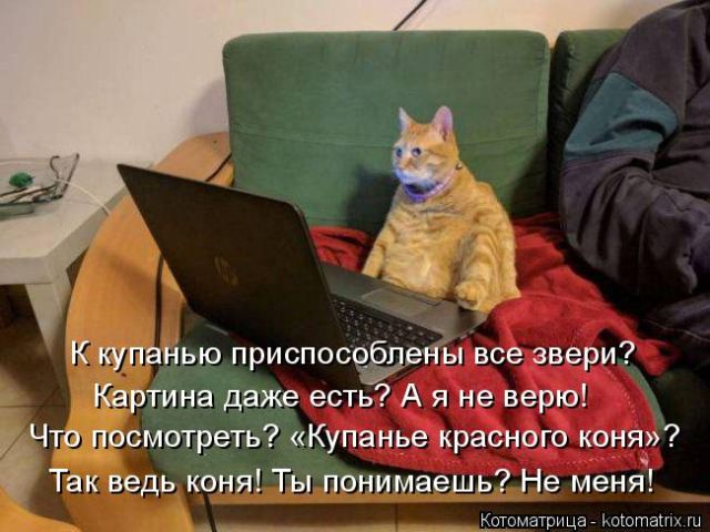 Лучшие котоматрицы недели