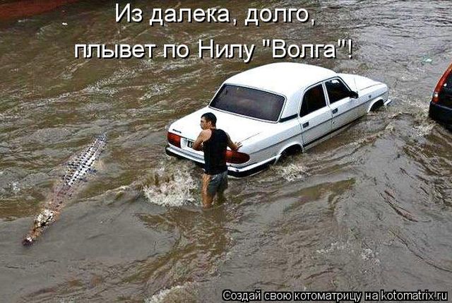 Лучшие котоматрицы недели