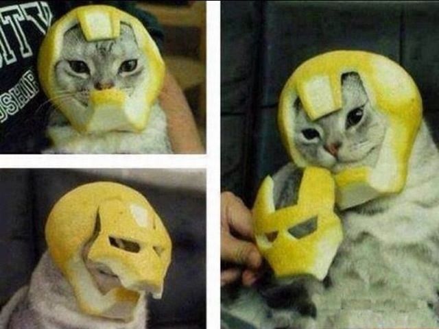 Прикольные картинки