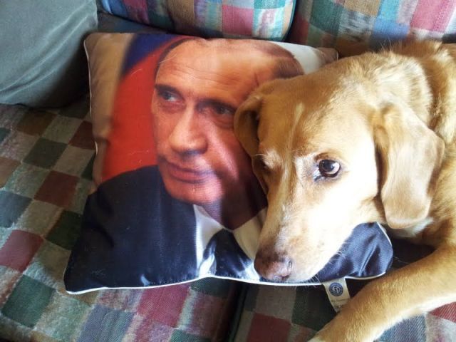 Прикольные картинки