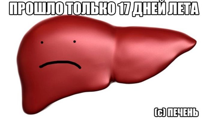 Порция картинок