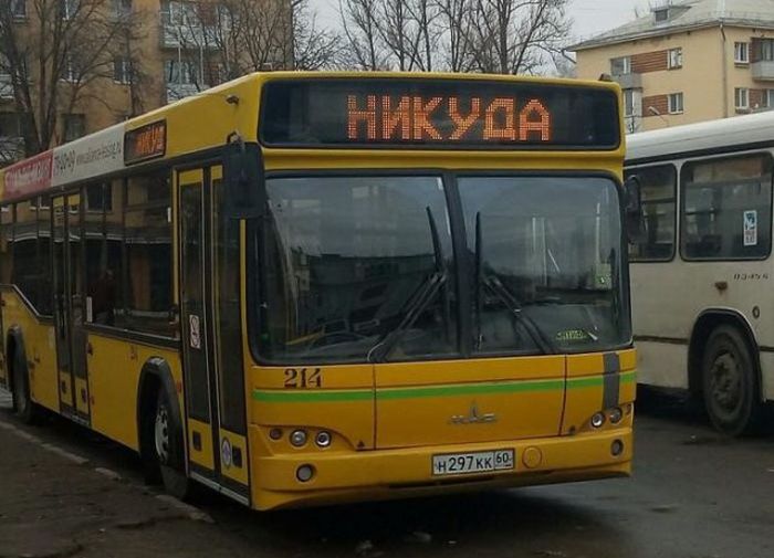 Философские высказывания с улиц наших городов