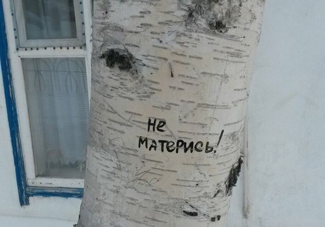 Философские высказывания с улиц наших городов