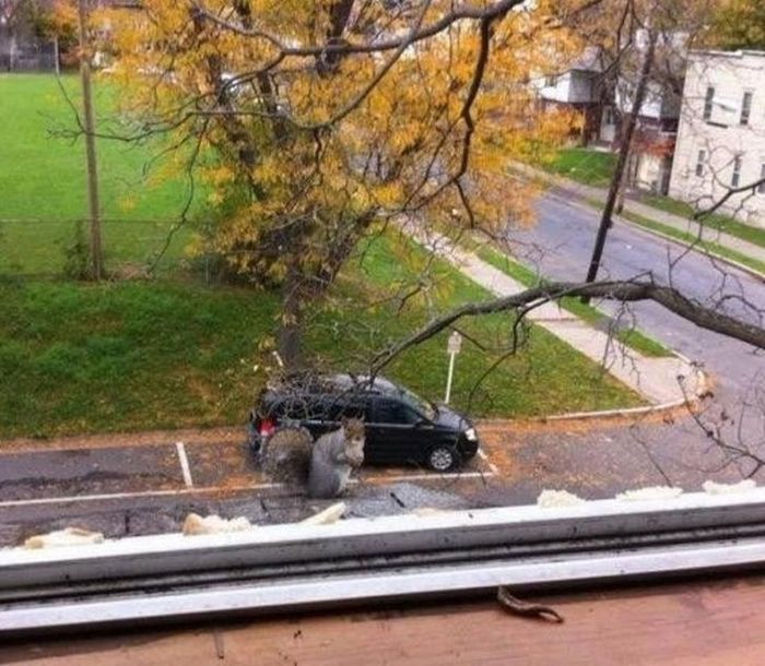 Обман зрения и оптические иллюзии