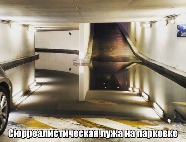 Прикольные картинки
