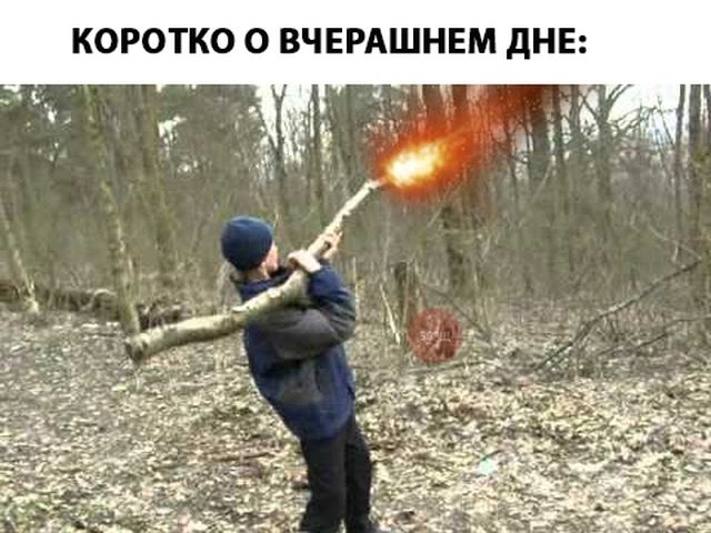 Прикольные картинки