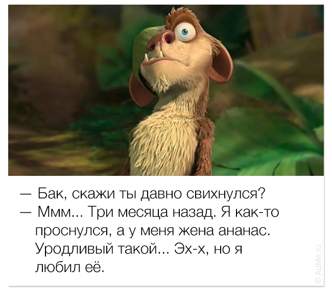 Улыбаемся и машем (32 фото)