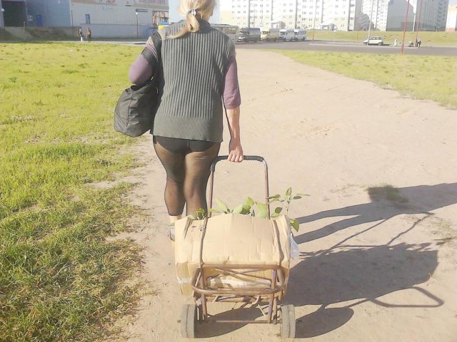 Белорусские модники и модницы