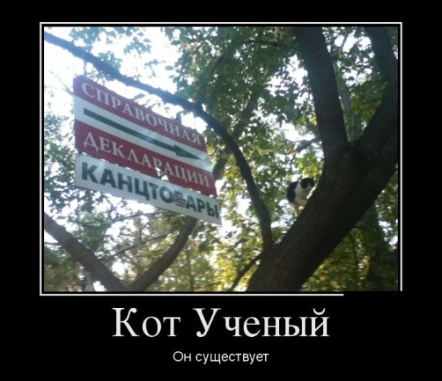 Демотиваторы