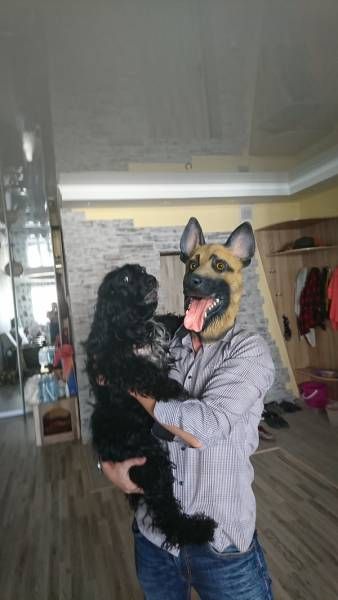Прикольные картинки