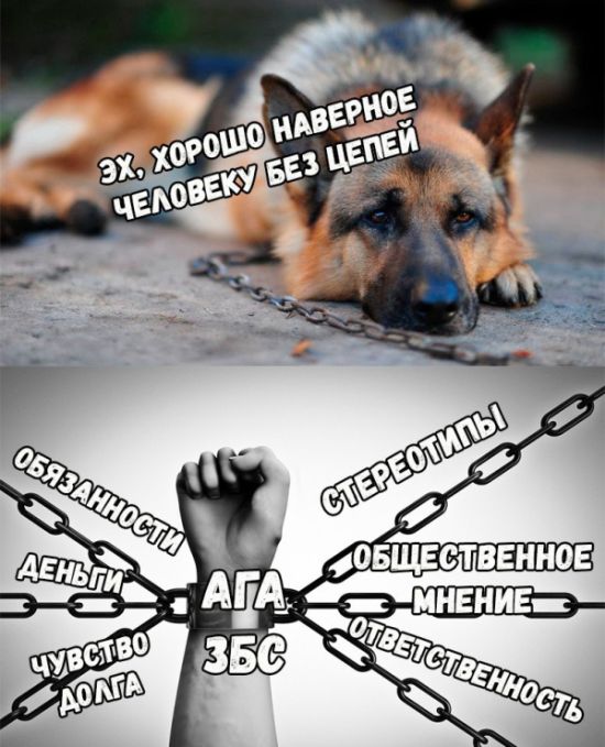 Прикольные картинки