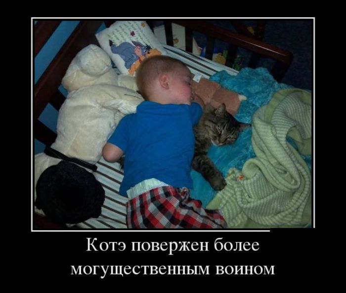 Демотиваторы