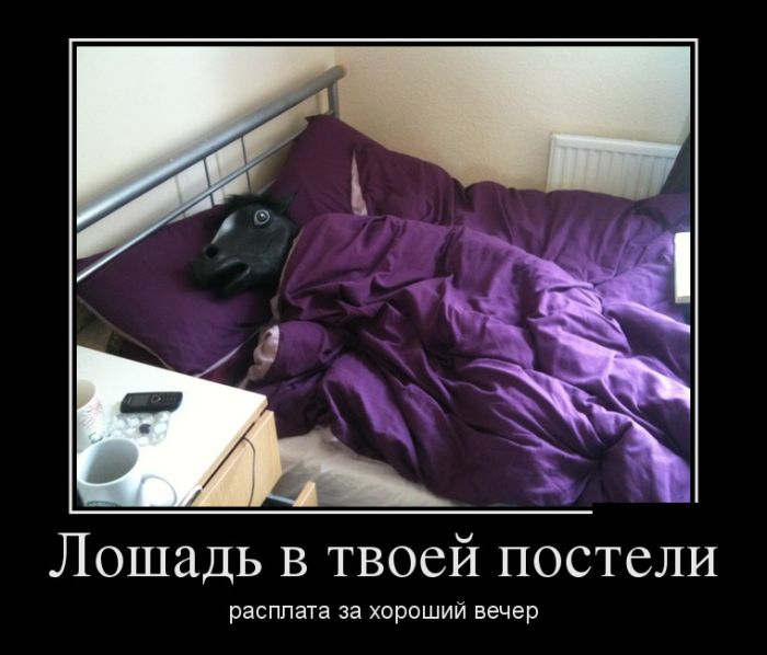 Демотиваторы