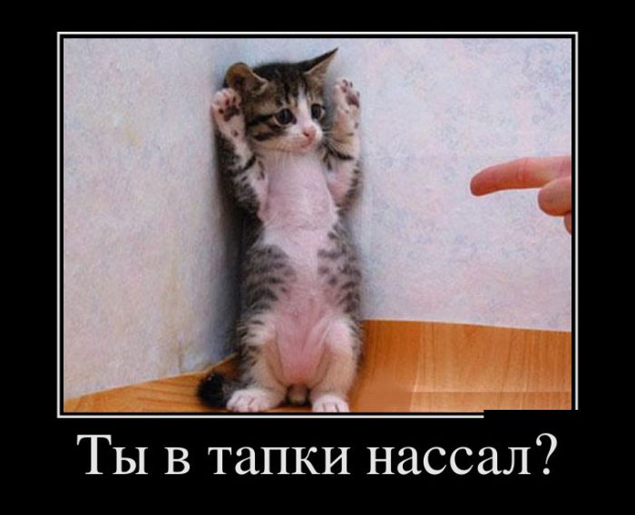 Демотиваторы