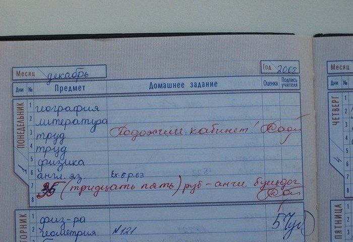 Замечания в дневниках