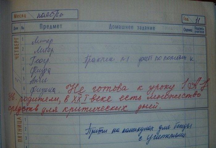 Замечания в дневниках
