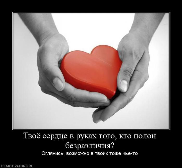 Демотиваторы (67 фото)