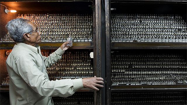 Странные и абсурдные научные теории Странные и абсурдные научные теории