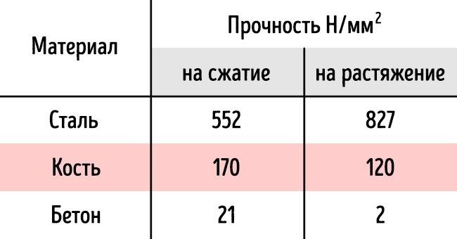 15 особенностей, которые делают человеческое тело уникальным 15 особенностей, которые делают человеческое тело уникальным