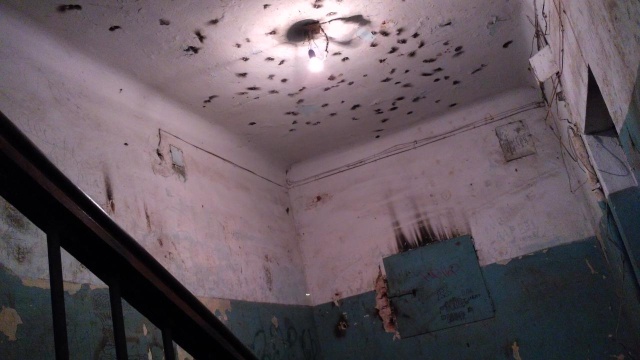 Подъезды многоквартирных домов с наших просторов
