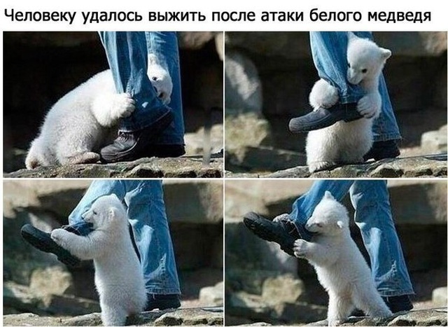 Прикольные картинки