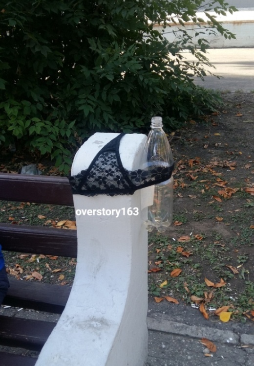 Прикольные картинки