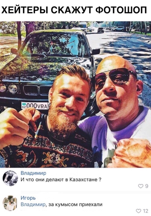 Прикольные картинки
