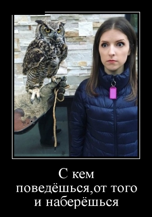 Демотиваторы