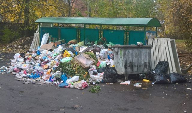 Подмосковное Пушкино утопает в мусоре