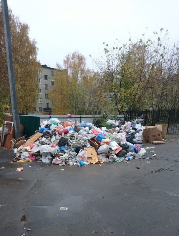 Подмосковное Пушкино утопает в мусоре